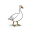 goose