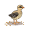 uai