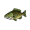 bass