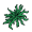 kelp