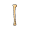 bone