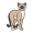 ma