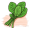 spinach