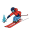 ski