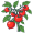 oma