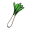 leek