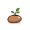 seed