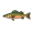 pike