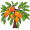 ngo