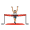 race