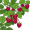rasp