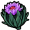 thistle