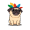 pug