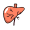 liver