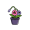 droop