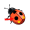 spot