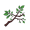 stem