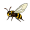 hor