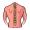 spine
