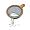 ev