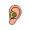 ear