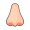 nose