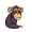 ape