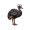 emu