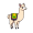 llama