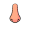 nose