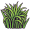 grass