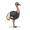 emu