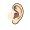 ear