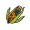 maize