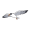 ern