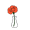 carnation