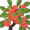 peach