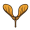 seed