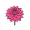hli