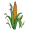 cornstalk