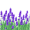av