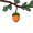 oak