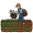 harvest