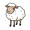ewe