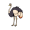 ostrich