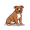 pit