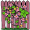 vine