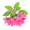 aza