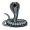 cobra