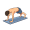 push